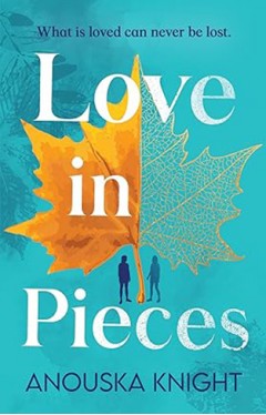 Love in Pieces